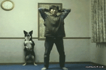 funny-dog-and-owner-gym.gif?w=600
