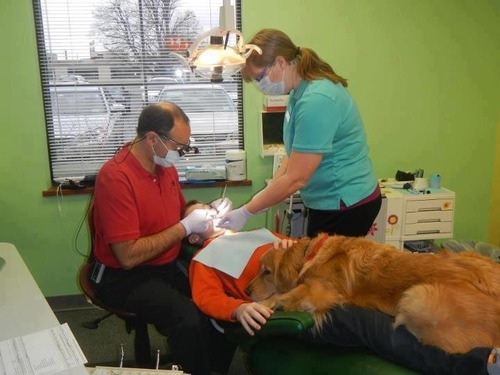 Dog and Dentist