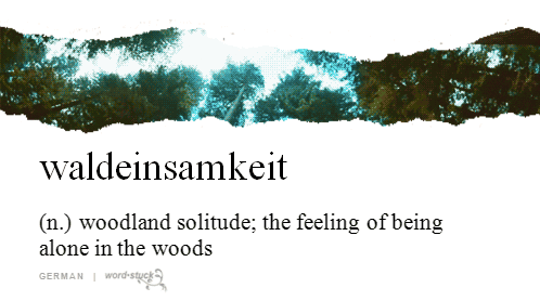 waldeinsamkeit-woodland-solitude-alone-woods-words