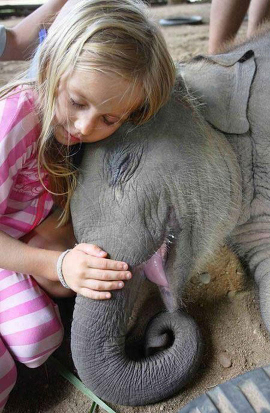 cute-girl-baby-elephant-hugging