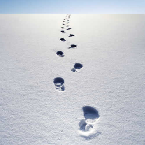 footprints-in-snow