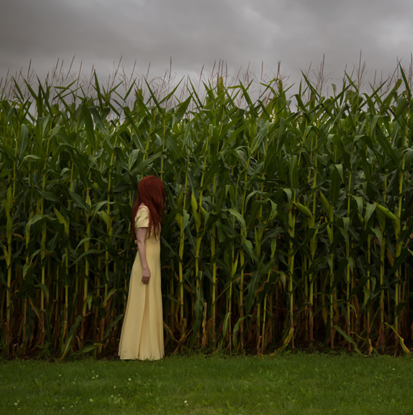 Patty-maher-corn-photography