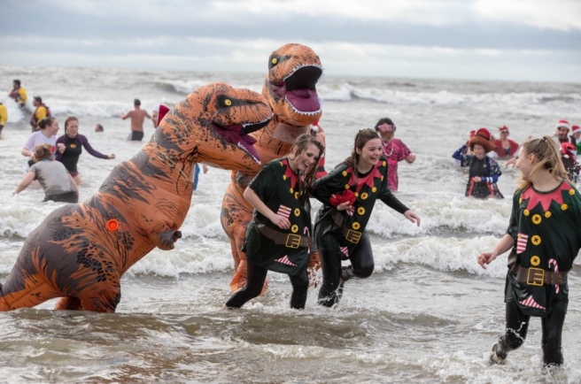 funny-charity-dinosaur-swim